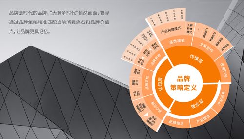 广州智驿品牌顾问品牌全案策划-witbrand系统化